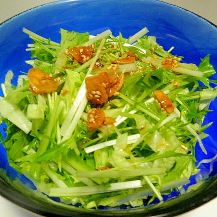 レタスと水菜のサラダ